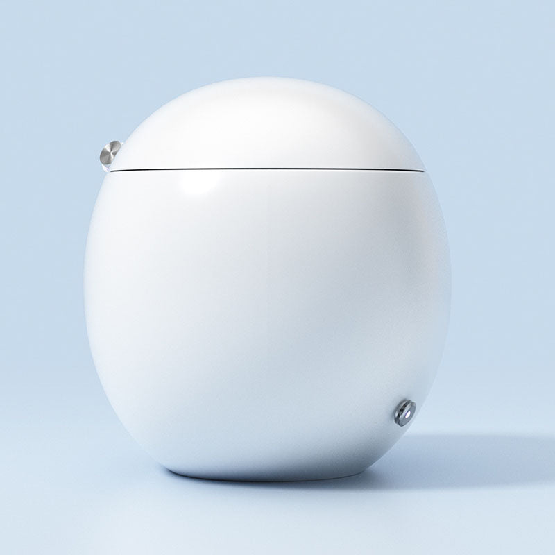 White Egg Shaped Electronic Elongated Toilet Floor Standing Bidet Clearhalo 'Bathroom Remodel & Bathroom Fixtures' 'Bidets' 'Home Improvement' 'home_improvement' 'home_improvement_bidets' 'Toilets & Bidets' 6624346