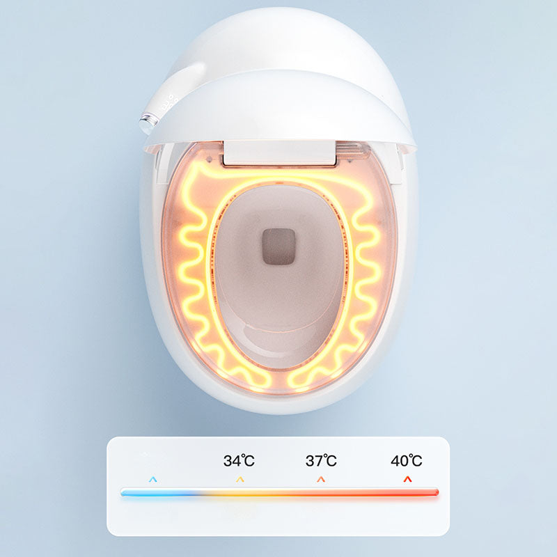 White Egg Shaped Electronic Elongated Toilet Floor Standing Bidet Clearhalo 'Bathroom Remodel & Bathroom Fixtures' 'Bidets' 'Home Improvement' 'home_improvement' 'home_improvement_bidets' 'Toilets & Bidets' 6624354