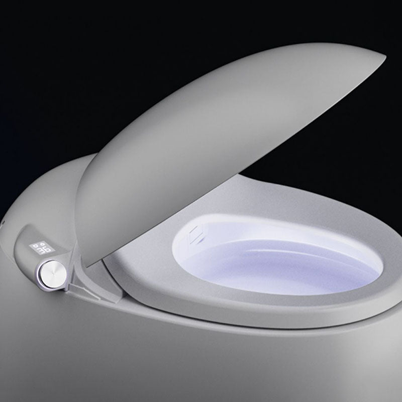 White Egg Shaped Electronic Elongated Toilet Floor Standing Bidet Clearhalo 'Bathroom Remodel & Bathroom Fixtures' 'Bidets' 'Home Improvement' 'home_improvement' 'home_improvement_bidets' 'Toilets & Bidets' 6624356