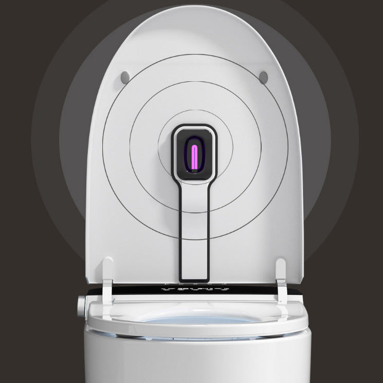 Ceramic Floor Standing Bidet Elongated Heated Seat Bidet in White Clearhalo 'Bathroom Remodel & Bathroom Fixtures' 'Bidets' 'Home Improvement' 'home_improvement' 'home_improvement_bidets' 'Toilets & Bidets' 6624443