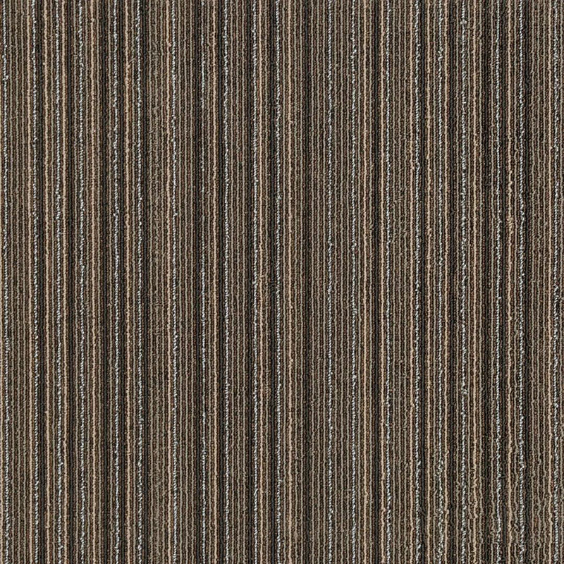 Indoor Level Loop Carpet Tile Dark Color Fade Resistant Loose Lay Carpet Tiles Dark Brown Clearhalo 'Carpet Tiles & Carpet Squares' 'carpet_tiles_carpet_squares' 'Flooring 'Home Improvement' 'home_improvement' 'home_improvement_carpet_tiles_carpet_squares' Walls and Ceiling' 6643390