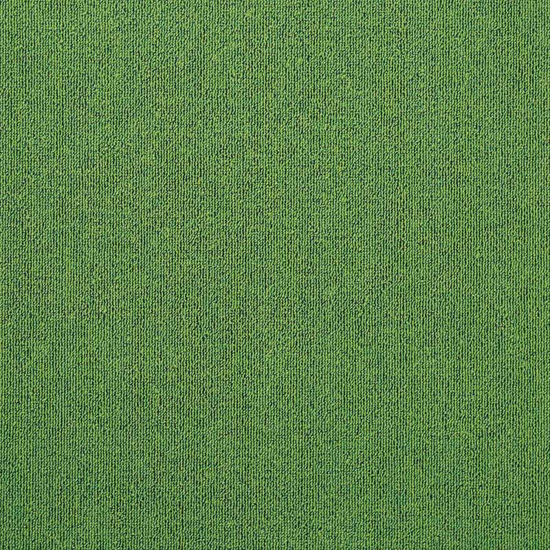 Office Level Loop Carpet Tile Multi-Color Fade Resistant Loose Lay Indoor Carpet Tiles Dark Green Clearhalo 'Carpet Tiles & Carpet Squares' 'carpet_tiles_carpet_squares' 'Flooring 'Home Improvement' 'home_improvement' 'home_improvement_carpet_tiles_carpet_squares' Walls and Ceiling' 6643501