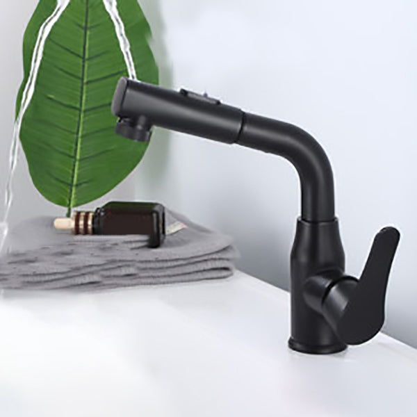 Modern 1-Handle Bathroom Sink Faucet Circular Vessel Sink Faucet Stainless Steel Black Pulling and Upper Spray Clearhalo 'Bathroom Remodel & Bathroom Fixtures' 'Bathroom Sink Faucets' 'Bathroom Sinks & Faucet Components' 'bathroom_sink_faucets' 'Home Improvement' 'home_improvement' 'home_improvement_bathroom_sink_faucets' 6643537