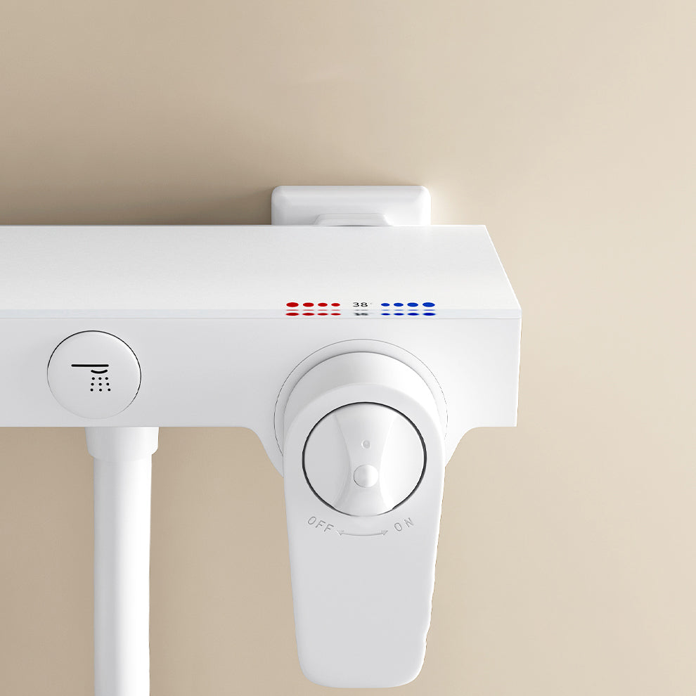 Shower System Massage Jet Round Handheld Shower Head Wall Mounted Shower Trim Clearhalo 'Bathroom Remodel & Bathroom Fixtures' 'Home Improvement' 'home_improvement' 'home_improvement_shower_faucets' 'Shower Faucets & Systems' 'shower_faucets' 'Showers & Bathtubs Plumbing' 'Showers & Bathtubs' 6643709