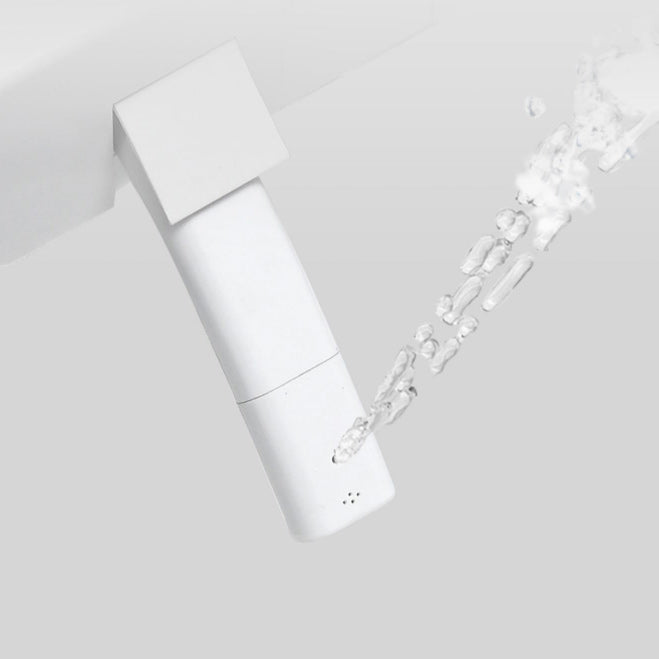 Heated Seat All-in-One Bidet Elongated Stain Resistant Bidet Clearhalo 'Bathroom Remodel & Bathroom Fixtures' 'Bidets' 'Home Improvement' 'home_improvement' 'home_improvement_bidets' 'Toilets & Bidets' 6648661