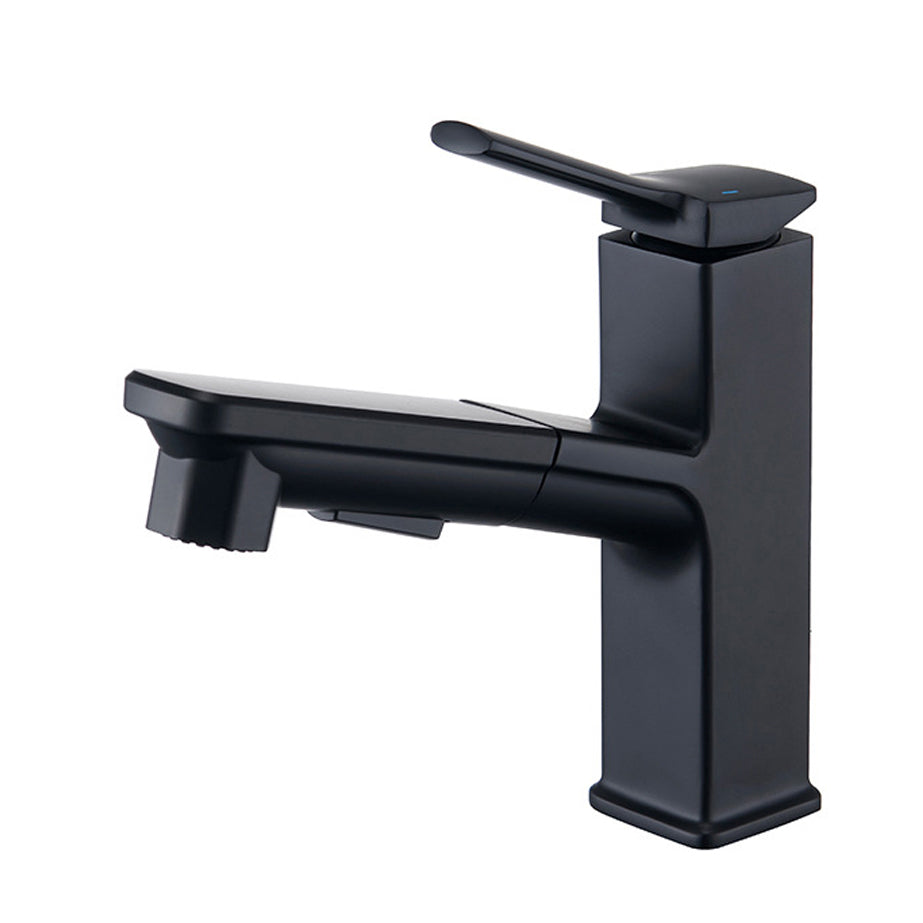 Modern Brass Sink Faucet Centerset Bathroom Faucet with Water Hose Black Clearhalo 'Bathroom Remodel & Bathroom Fixtures' 'Bathroom Sink Faucets' 'Bathroom Sinks & Faucet Components' 'bathroom_sink_faucets' 'Home Improvement' 'home_improvement' 'home_improvement_bathroom_sink_faucets' 6658625