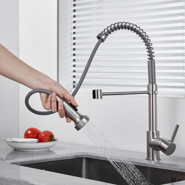 Modern Kitchen Faucet Brass Lever Handles Pre-Rinse High-Arc Kitchen Faucet Clearhalo 'Home Improvement' 'home_improvement' 'home_improvement_kitchen_faucets' 'Kitchen Faucets' 'Kitchen Remodel & Kitchen Fixtures' 'Kitchen Sinks & Faucet Components' 'kitchen_faucets' 6658695