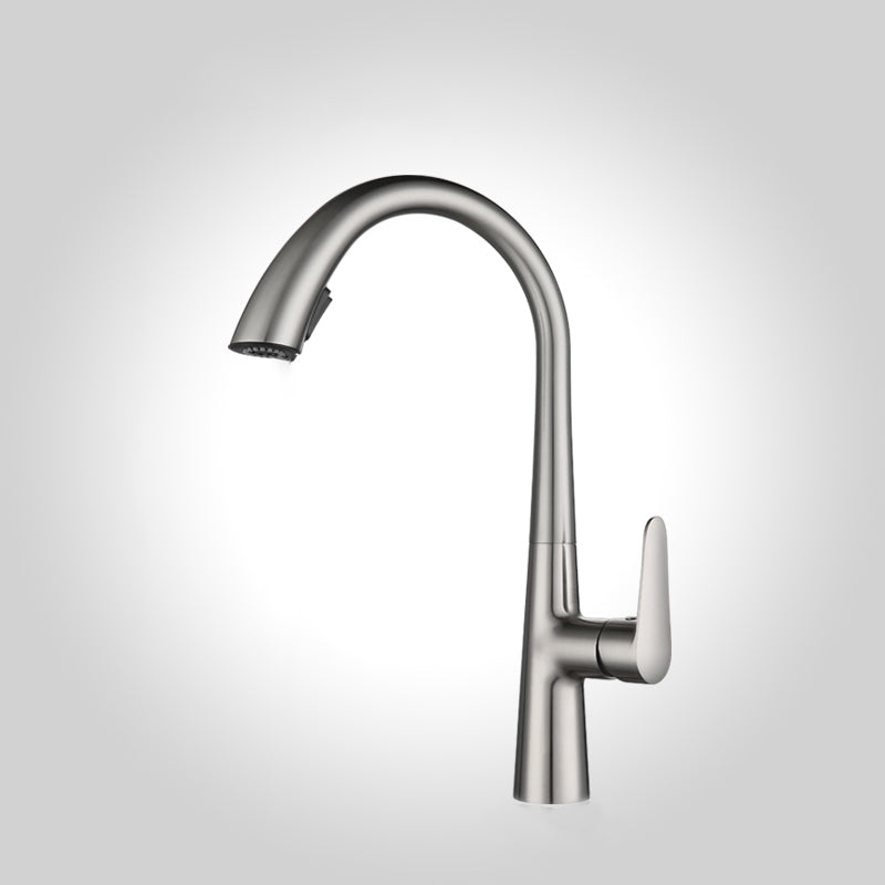 Modern Pot Filler Kitchen Faucet Brass Lever Handles Pull out Faucet Kitchen Faucet Silver Clearhalo 'Home Improvement' 'home_improvement' 'home_improvement_kitchen_faucets' 'Kitchen Faucets' 'Kitchen Remodel & Kitchen Fixtures' 'Kitchen Sinks & Faucet Components' 'kitchen_faucets' 6658705