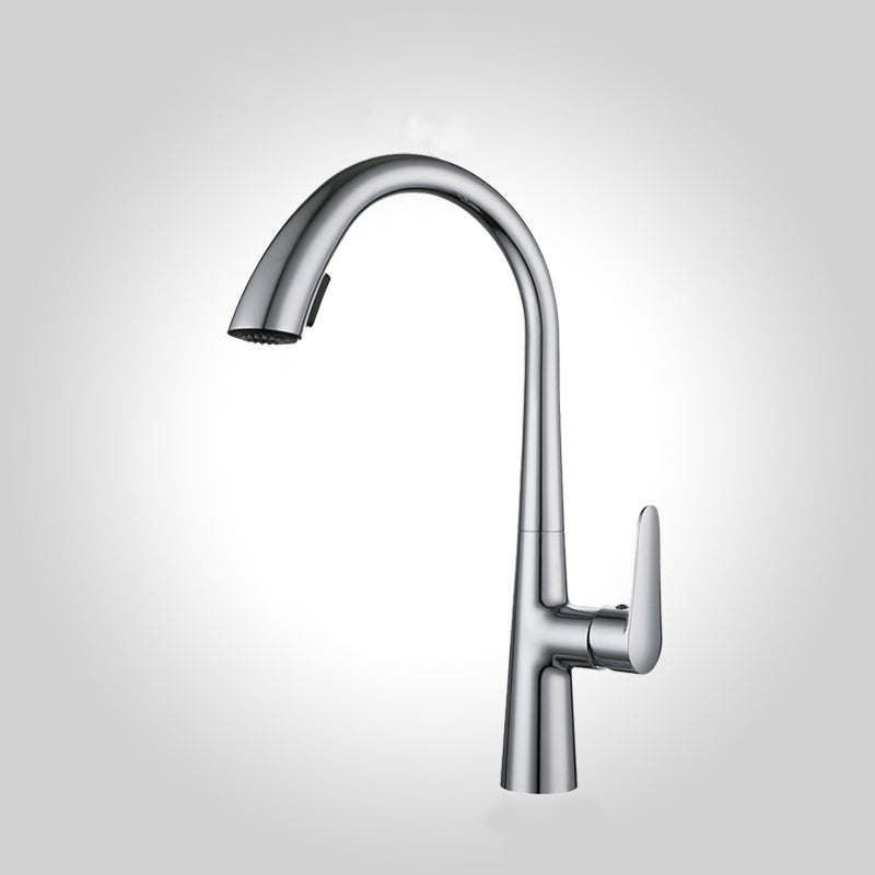 Modern Pot Filler Kitchen Faucet Brass Lever Handles Pull out Faucet Kitchen Faucet Chrome Clearhalo 'Home Improvement' 'home_improvement' 'home_improvement_kitchen_faucets' 'Kitchen Faucets' 'Kitchen Remodel & Kitchen Fixtures' 'Kitchen Sinks & Faucet Components' 'kitchen_faucets' 6658707