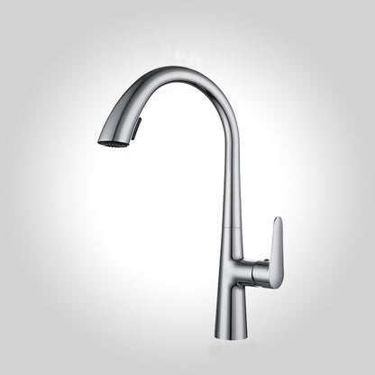 Modern Pot Filler Kitchen Faucet Brass Lever Handles Pull out Faucet Kitchen Faucet Chrome Clearhalo 'Home Improvement' 'home_improvement' 'home_improvement_kitchen_faucets' 'Kitchen Faucets' 'Kitchen Remodel & Kitchen Fixtures' 'Kitchen Sinks & Faucet Components' 'kitchen_faucets' 6658707