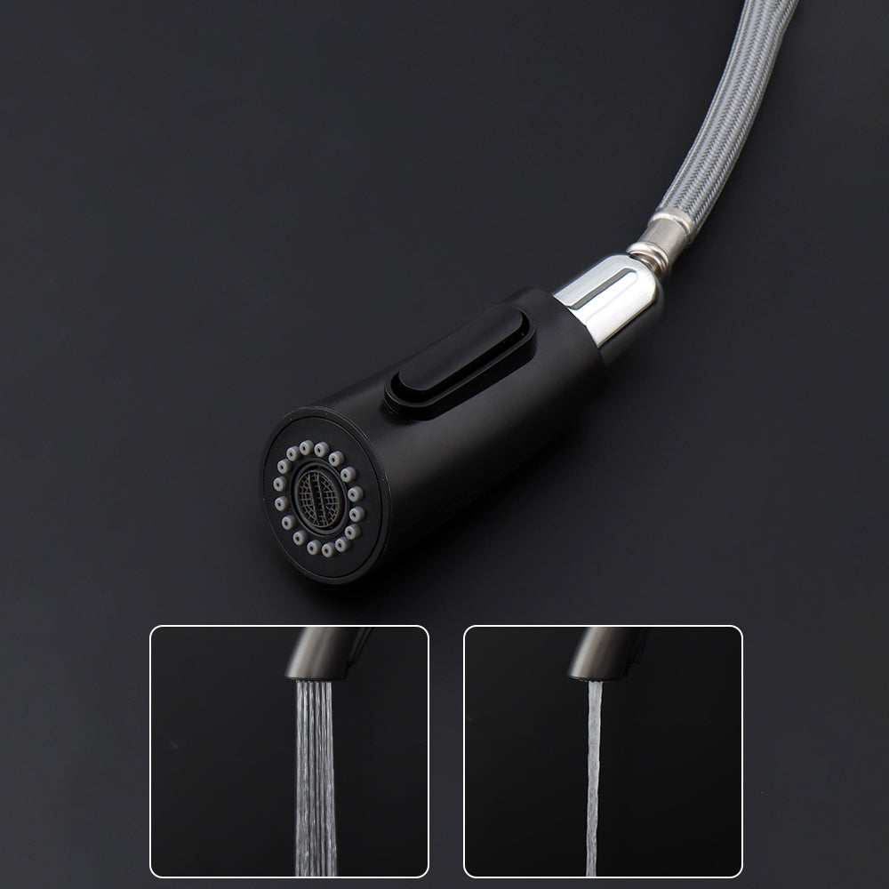 Modern Pot Filler Kitchen Faucet Brass Lever Handles Pull out Faucet Kitchen Faucet Clearhalo 'Home Improvement' 'home_improvement' 'home_improvement_kitchen_faucets' 'Kitchen Faucets' 'Kitchen Remodel & Kitchen Fixtures' 'Kitchen Sinks & Faucet Components' 'kitchen_faucets' 6658708