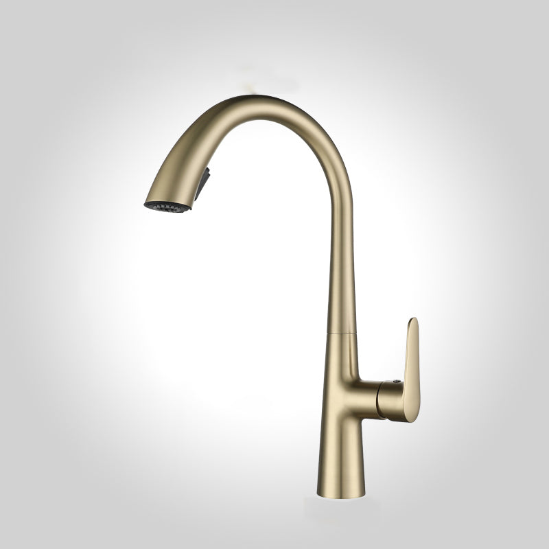Modern Pot Filler Kitchen Faucet Brass Lever Handles Pull out Faucet Kitchen Faucet Gold Clearhalo 'Home Improvement' 'home_improvement' 'home_improvement_kitchen_faucets' 'Kitchen Faucets' 'Kitchen Remodel & Kitchen Fixtures' 'Kitchen Sinks & Faucet Components' 'kitchen_faucets' 6658709