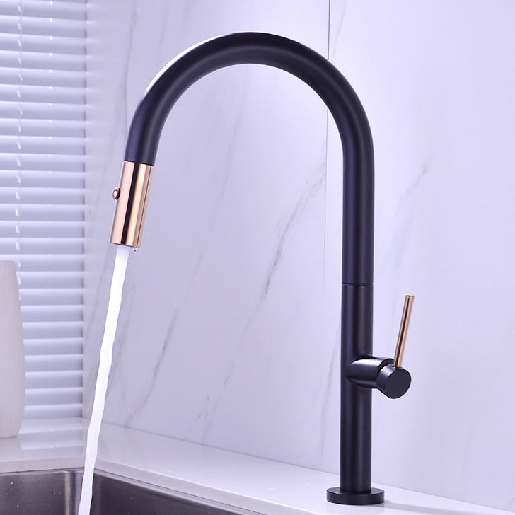 Modern Kitchen Faucet Brass Pull out Faucet with Sprayer and Magnetic Docking Pot Filler Black/ Gold Clearhalo 'Home Improvement' 'home_improvement' 'home_improvement_kitchen_faucets' 'Kitchen Faucets' 'Kitchen Remodel & Kitchen Fixtures' 'Kitchen Sinks & Faucet Components' 'kitchen_faucets' 6658733
