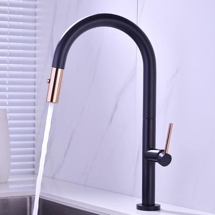 Modern Kitchen Faucet Brass Pull out Faucet with Sprayer and Magnetic Docking Pot Filler Black Gold Clearhalo 'Home Improvement' 'home_improvement' 'home_improvement_kitchen_faucets' 'Kitchen Faucets' 'Kitchen Remodel & Kitchen Fixtures' 'Kitchen Sinks & Faucet Components' 'kitchen_faucets' 6658733