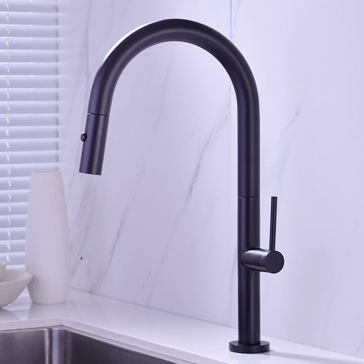 Modern Kitchen Faucet Brass Pull out Faucet with Sprayer and Magnetic Docking Pot Filler Black Clearhalo 'Home Improvement' 'home_improvement' 'home_improvement_kitchen_faucets' 'Kitchen Faucets' 'Kitchen Remodel & Kitchen Fixtures' 'Kitchen Sinks & Faucet Components' 'kitchen_faucets' 6658734