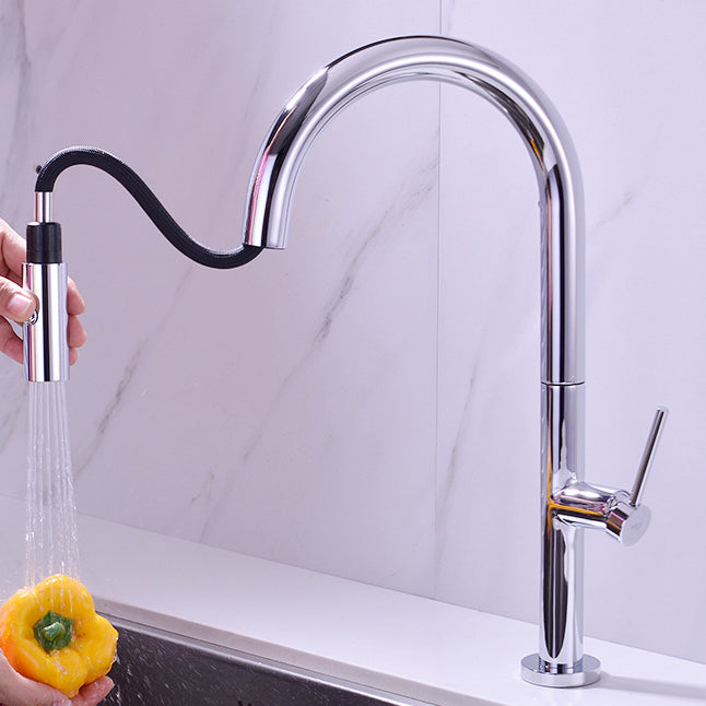 Modern Kitchen Faucet Brass Pull out Faucet with Sprayer and Magnetic Docking Pot Filler Silver Clearhalo 'Home Improvement' 'home_improvement' 'home_improvement_kitchen_faucets' 'Kitchen Faucets' 'Kitchen Remodel & Kitchen Fixtures' 'Kitchen Sinks & Faucet Components' 'kitchen_faucets' 6658736