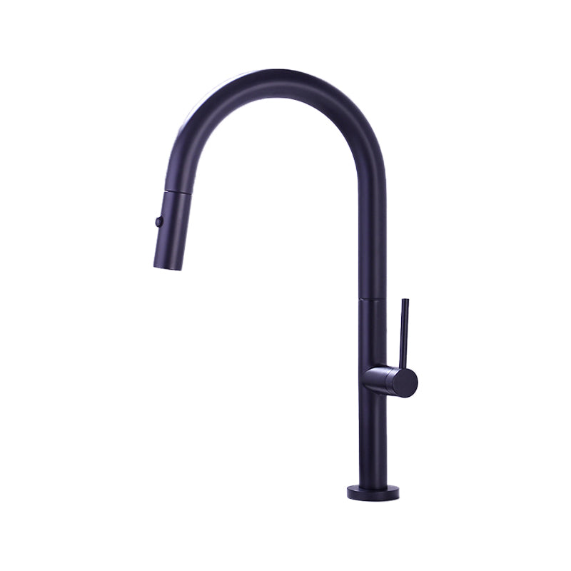 Modern Kitchen Faucet Brass Pull out Faucet with Sprayer and Magnetic Docking Pot Filler Clearhalo 'Home Improvement' 'home_improvement' 'home_improvement_kitchen_faucets' 'Kitchen Faucets' 'Kitchen Remodel & Kitchen Fixtures' 'Kitchen Sinks & Faucet Components' 'kitchen_faucets' 6658739