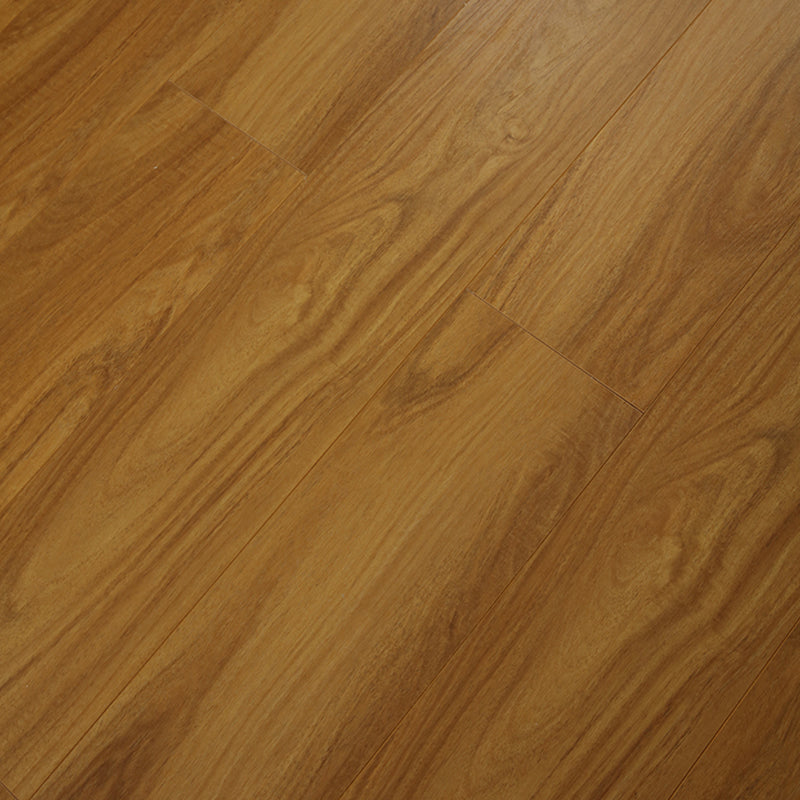 Modern Laminate Flooring Medium Wood Indoor Living Room Laminate Plank Flooring Orange Clearhalo 'Flooring 'Home Improvement' 'home_improvement' 'home_improvement_laminate_flooring' 'Laminate Flooring' 'laminate_flooring' Walls and Ceiling' 6660392