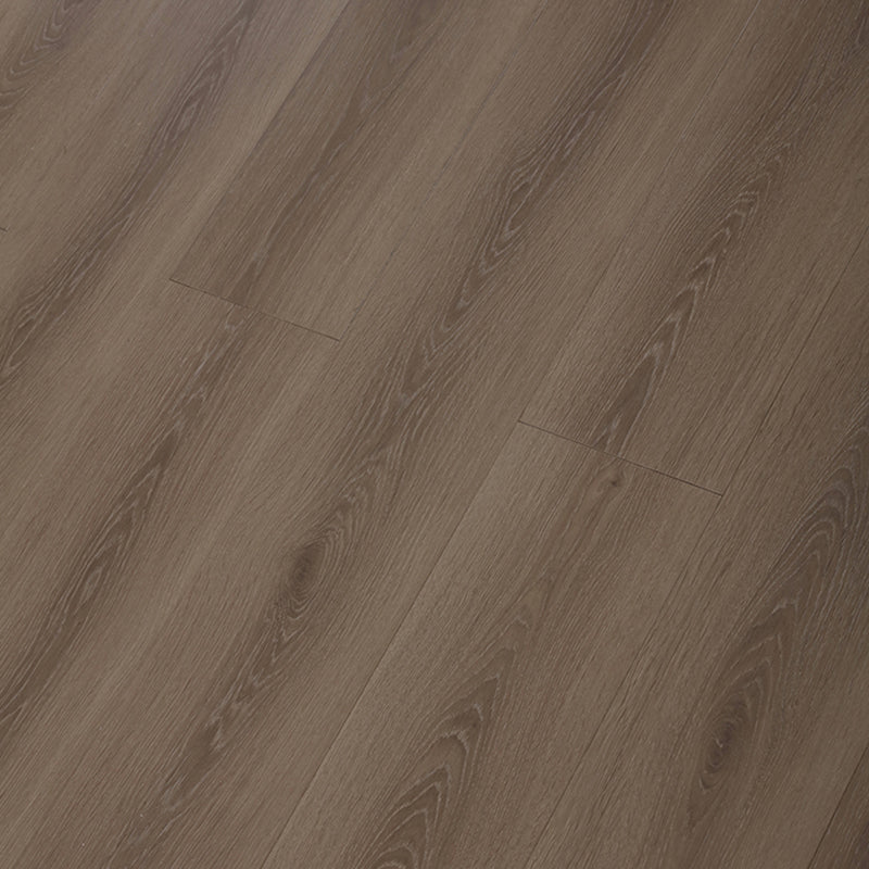 Modern Laminate Flooring Medium Wood Indoor Living Room Laminate Plank Flooring Purple Clearhalo 'Flooring 'Home Improvement' 'home_improvement' 'home_improvement_laminate_flooring' 'Laminate Flooring' 'laminate_flooring' Walls and Ceiling' 6660393