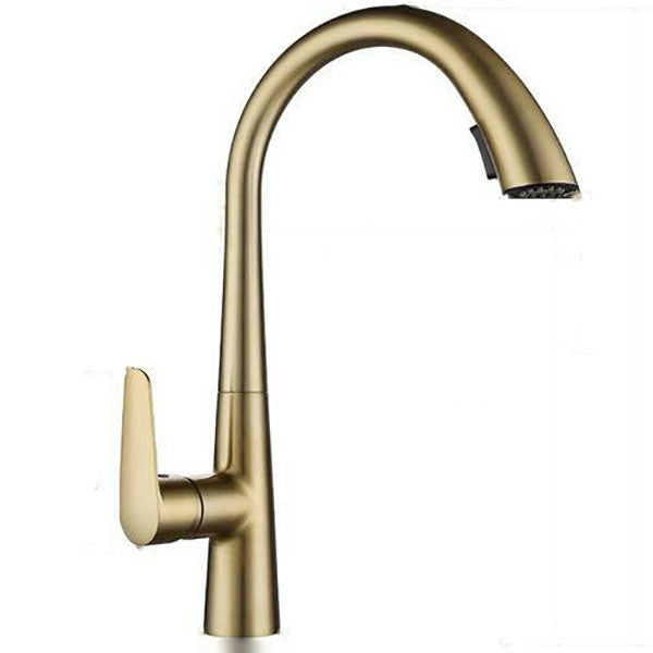 Contemporary Faucet Stainless Steel Single Handle High Arc Faucet for Kitchen Gold Clearhalo 'Home Improvement' 'home_improvement' 'home_improvement_kitchen_faucets' 'Kitchen Faucets' 'Kitchen Remodel & Kitchen Fixtures' 'Kitchen Sinks & Faucet Components' 'kitchen_faucets' 6667251