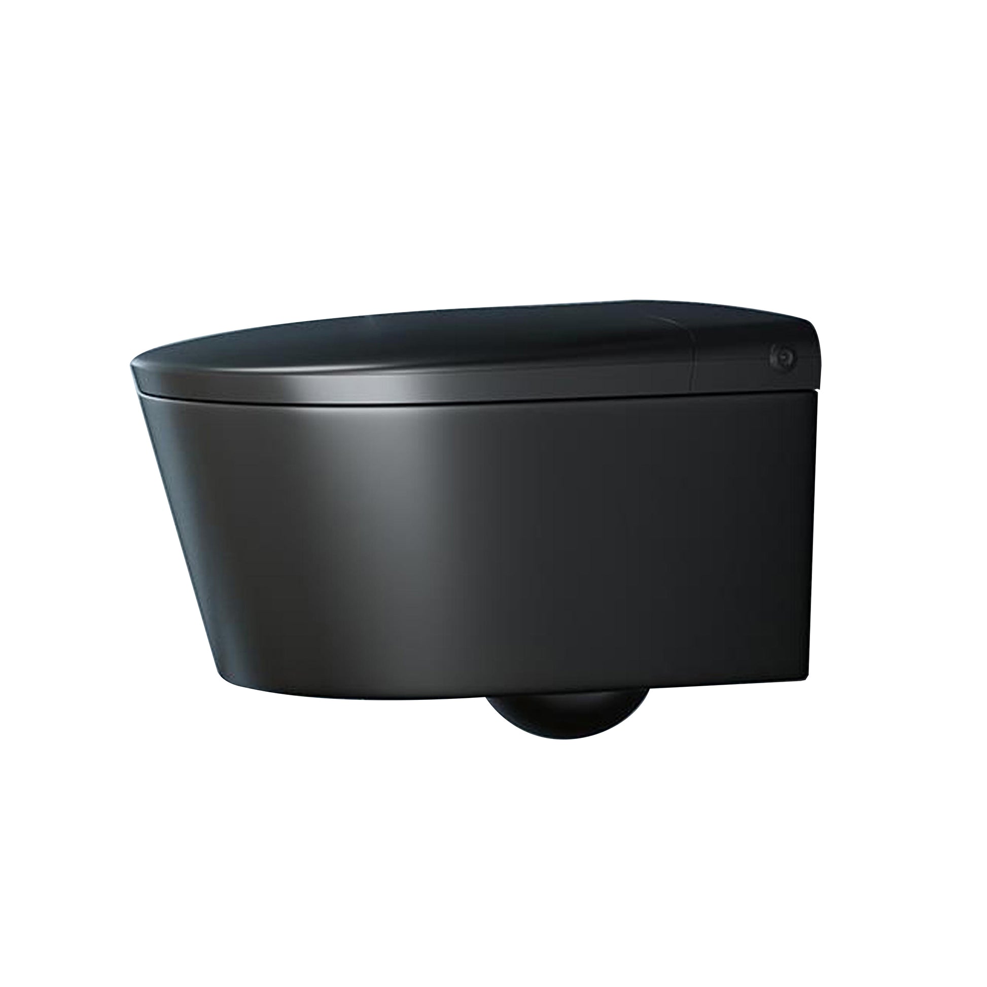 Warm Air Dryer Wall Hung Toilet Set Heated Seat Vitreous China Bidets Clearhalo 'Bathroom Remodel & Bathroom Fixtures' 'Bidets' 'Home Improvement' 'home_improvement' 'home_improvement_bidets' 'Toilets & Bidets' 6675704