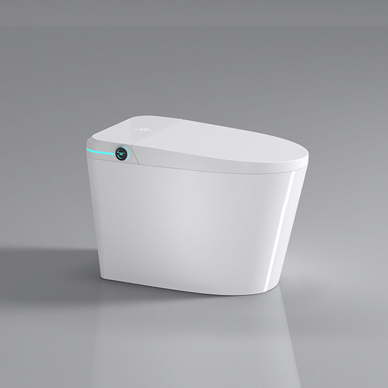 Elongated Smart Bidet White Ceramic One-Piece Smart Toilet Bidet Manual Flip (Standard) Clearhalo 'Bathroom Remodel & Bathroom Fixtures' 'Bidets' 'Home Improvement' 'home_improvement' 'home_improvement_bidets' 'Toilets & Bidets' 6675769