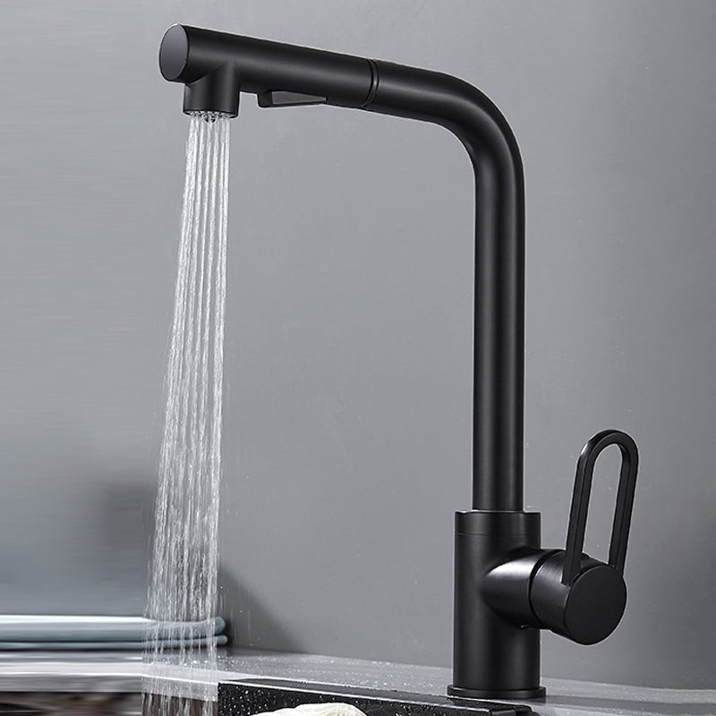 Contemporary Kitchen Faucet Copper 1-Handle High Arc Kitchen Faucet Black 7 Shape Clearhalo 'Home Improvement' 'home_improvement' 'home_improvement_kitchen_faucets' 'Kitchen Faucets' 'Kitchen Remodel & Kitchen Fixtures' 'Kitchen Sinks & Faucet Components' 'kitchen_faucets' 6680955