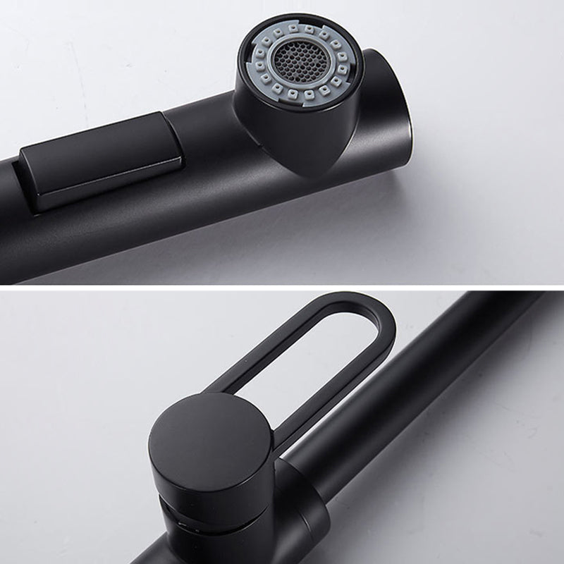 Contemporary Kitchen Faucet Copper 1-Handle High Arc Kitchen Faucet Clearhalo 'Home Improvement' 'home_improvement' 'home_improvement_kitchen_faucets' 'Kitchen Faucets' 'Kitchen Remodel & Kitchen Fixtures' 'Kitchen Sinks & Faucet Components' 'kitchen_faucets' 6680964