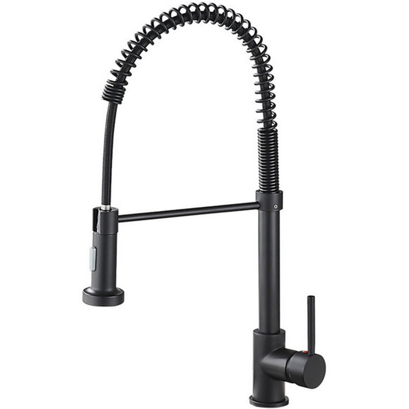 Modern Farmhouse Faucet Spring Spout Water Filler One Handle High Arch Kitchen Faucet Clearhalo 'Home Improvement' 'home_improvement' 'home_improvement_kitchen_faucets' 'Kitchen Faucets' 'Kitchen Remodel & Kitchen Fixtures' 'Kitchen Sinks & Faucet Components' 'kitchen_faucets' 6680997