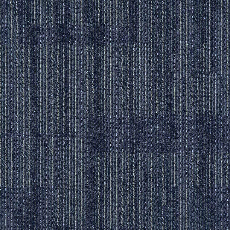 Office Level Loop Carpet Tile Dark Color Fade Resistant Loose Lay Indoor Carpet Tiles Navy Asphalt Clearhalo 'Carpet Tiles & Carpet Squares' 'carpet_tiles_carpet_squares' 'Flooring 'Home Improvement' 'home_improvement' 'home_improvement_carpet_tiles_carpet_squares' Walls and Ceiling' 6682180