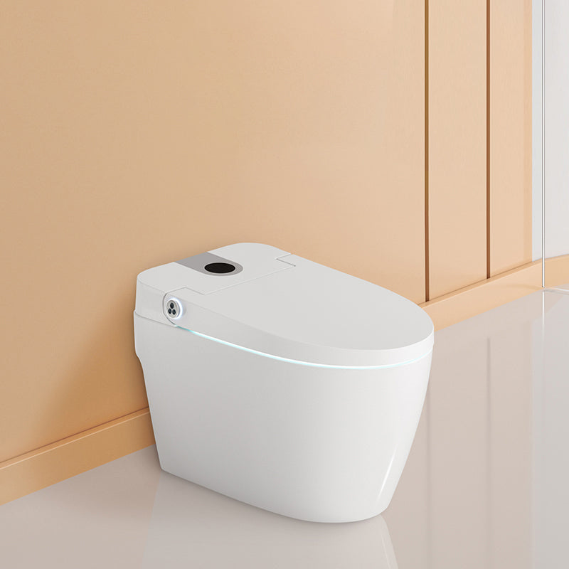 Elongated White Floor Mount Bidet with Heated Seat,15.75" Long Manual Flip (Standard) Yes Clearhalo 'Bathroom Remodel & Bathroom Fixtures' 'Bidets' 'Home Improvement' 'home_improvement' 'home_improvement_bidets' 'Toilets & Bidets' 6688632