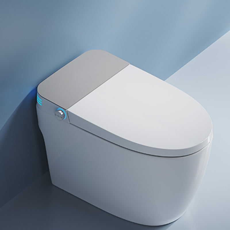 Antimicrobial Bidet with Soft Close Bidet Seat Deodorizing Toilet Grey Manual Flip (Standard) Clearhalo 'Bathroom Remodel & Bathroom Fixtures' 'Bidets' 'Home Improvement' 'home_improvement' 'home_improvement_bidets' 'Toilets & Bidets' 6708926