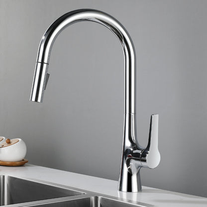 Contemporary Single Handle Standard Kitchen Faucet Pull Down 1-Hold Faucet Chrome Clearhalo 'Home Improvement' 'home_improvement' 'home_improvement_kitchen_faucets' 'Kitchen Faucets' 'Kitchen Remodel & Kitchen Fixtures' 'Kitchen Sinks & Faucet Components' 'kitchen_faucets' 6713460