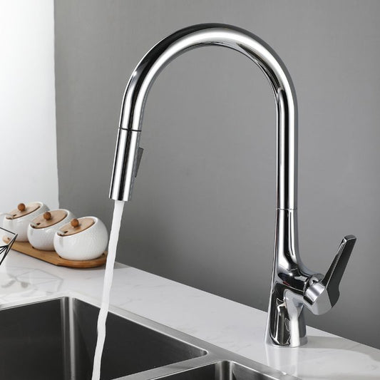 Contemporary Single Handle Standard Kitchen Faucet Pull Down 1-Hold Faucet Clearhalo 'Home Improvement' 'home_improvement' 'home_improvement_kitchen_faucets' 'Kitchen Faucets' 'Kitchen Remodel & Kitchen Fixtures' 'Kitchen Sinks & Faucet Components' 'kitchen_faucets' 6713461