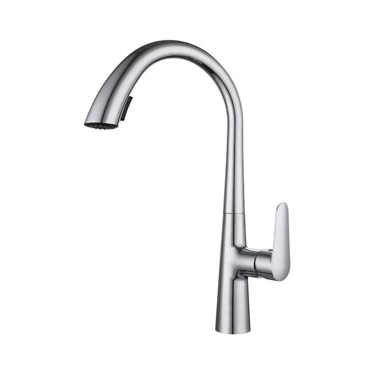 Modern 1-Handle Faucets Copper with Pull Out Sprayer Gooseneck Faucets Silver Clearhalo 'Home Improvement' 'home_improvement' 'home_improvement_kitchen_faucets' 'Kitchen Faucets' 'Kitchen Remodel & Kitchen Fixtures' 'Kitchen Sinks & Faucet Components' 'kitchen_faucets' 6713522