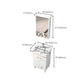 Rectangle Vanity Set White Single Sink Mirror Freestanding Bathroom Vanity with Door Clearhalo 'Bathroom Remodel & Bathroom Fixtures' 'Bathroom Vanities' 'bathroom_vanities' 'Home Improvement' 'home_improvement' 'home_improvement_bathroom_vanities' 6714035