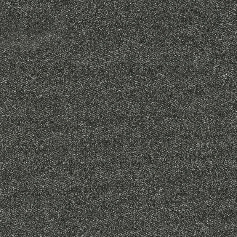 Carpet Tile Color Block Level Loop Non-Skid Carpet Floor Tile Black-Gray Clearhalo 'Carpet Tiles & Carpet Squares' 'carpet_tiles_carpet_squares' 'Flooring 'Home Improvement' 'home_improvement' 'home_improvement_carpet_tiles_carpet_squares' Walls and Ceiling' 6715136