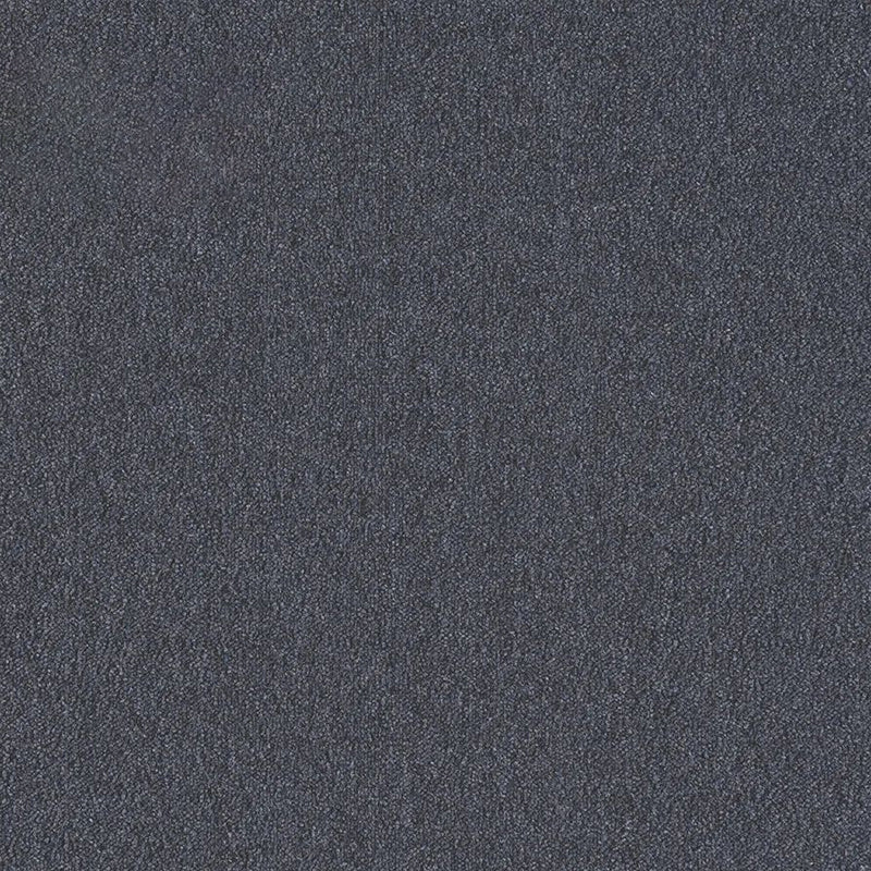 Carpet Tile Color Block Level Loop Non-Skid Carpet Floor Tile Black Clearhalo 'Carpet Tiles & Carpet Squares' 'carpet_tiles_carpet_squares' 'Flooring 'Home Improvement' 'home_improvement' 'home_improvement_carpet_tiles_carpet_squares' Walls and Ceiling' 6715145