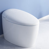 Contemporary Stain Resistant Floor Standing Bidet Elongated Bidet Clearhalo 'Bathroom Remodel & Bathroom Fixtures' 'Bidets' 'Home Improvement' 'home_improvement' 'home_improvement_bidets' 'Toilets & Bidets' 6718272