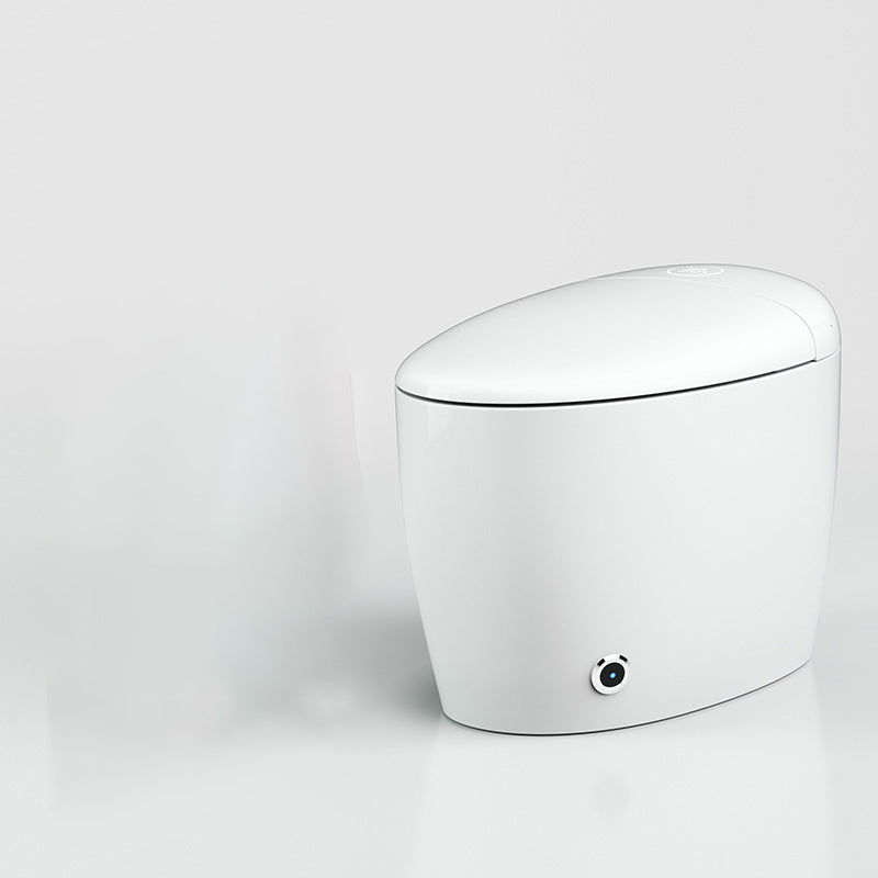 Contemporary Stain Resistant Floor Standing Bidet Elongated Bidet Automatic Lid Clearhalo 'Bathroom Remodel & Bathroom Fixtures' 'Bidets' 'Home Improvement' 'home_improvement' 'home_improvement_bidets' 'Toilets & Bidets' 6718273