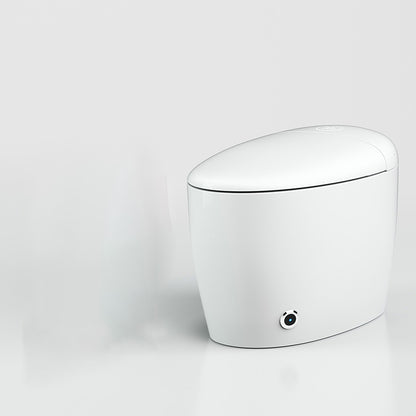 Contemporary Stain Resistant Floor Standing Bidet Elongated Bidet Automatic Lid Clearhalo 'Bathroom Remodel & Bathroom Fixtures' 'Bidets' 'Home Improvement' 'home_improvement' 'home_improvement_bidets' 'Toilets & Bidets' 6718273