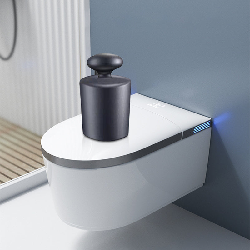 Wall Hung Toilet Temperature Control and Water Pressure Control Bidet Clearhalo 'Bathroom Remodel & Bathroom Fixtures' 'Bidets' 'Home Improvement' 'home_improvement' 'home_improvement_bidets' 'Toilets & Bidets' 6718341