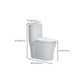 Glossy White Toilet with Glazed Surface Modern All-In-One Toilet Bowl Clearhalo 'Bathroom Remodel & Bathroom Fixtures' 'Home Improvement' 'home_improvement' 'home_improvement_toilets' 'Toilets & Bidets' 'Toilets' 6719803