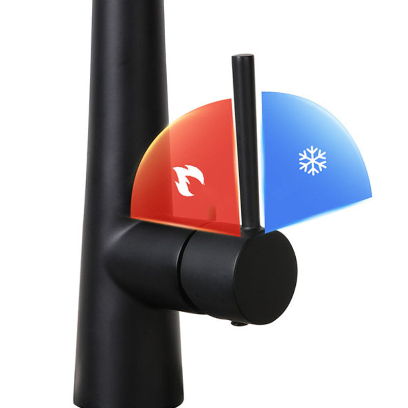 Modern Farmhouse Kitchen Faucet Pull down One Handle High Arch Water Filler Clearhalo 'Home Improvement' 'home_improvement' 'home_improvement_kitchen_faucets' 'Kitchen Faucets' 'Kitchen Remodel & Kitchen Fixtures' 'Kitchen Sinks & Faucet Components' 'kitchen_faucets' 6727175