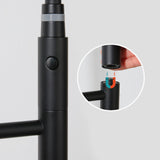 Modern Farmhouse Kitchen Faucet Pull down One Handle High Arch Water Filler Clearhalo 'Home Improvement' 'home_improvement' 'home_improvement_kitchen_faucets' 'Kitchen Faucets' 'Kitchen Remodel & Kitchen Fixtures' 'Kitchen Sinks & Faucet Components' 'kitchen_faucets' 6727177