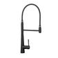 Modern Farmhouse Kitchen Faucet Pull down One Handle High Arch Water Filler Clearhalo 'Home Improvement' 'home_improvement' 'home_improvement_kitchen_faucets' 'Kitchen Faucets' 'Kitchen Remodel & Kitchen Fixtures' 'Kitchen Sinks & Faucet Components' 'kitchen_faucets' 6727178
