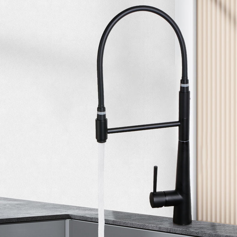 Modern Farmhouse Kitchen Faucet Pull down One Handle High Arch Water Filler Clearhalo 'Home Improvement' 'home_improvement' 'home_improvement_kitchen_faucets' 'Kitchen Faucets' 'Kitchen Remodel & Kitchen Fixtures' 'Kitchen Sinks & Faucet Components' 'kitchen_faucets' 6727179