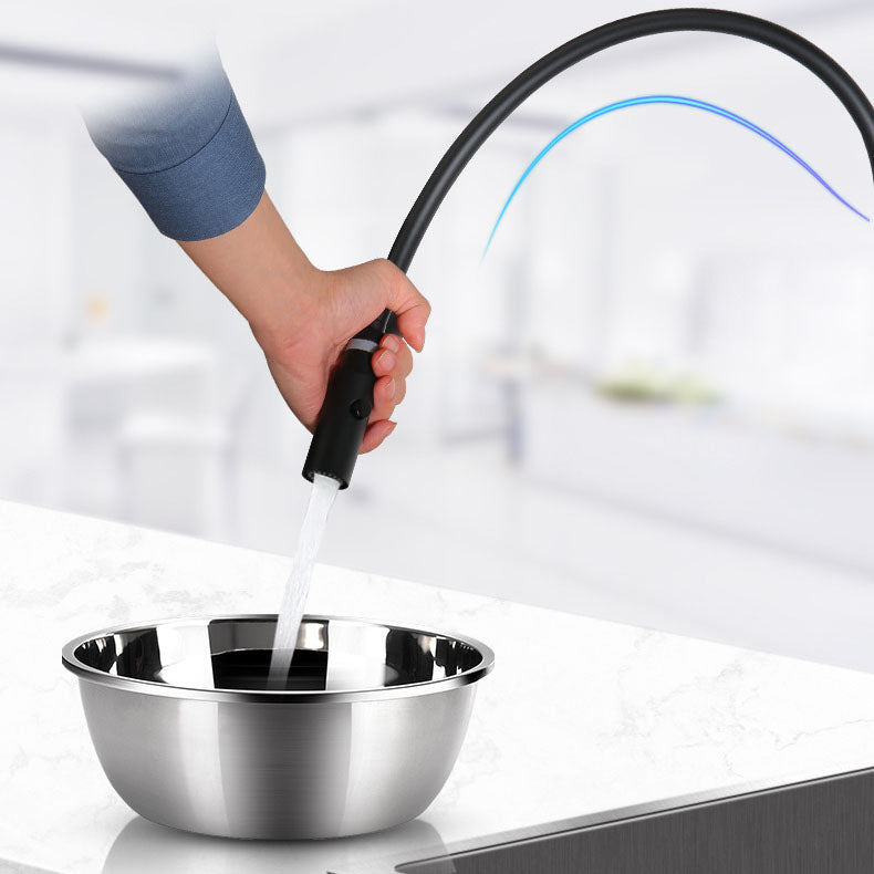 Modern Farmhouse Kitchen Faucet Pull down One Handle High Arch Water Filler Clearhalo 'Home Improvement' 'home_improvement' 'home_improvement_kitchen_faucets' 'Kitchen Faucets' 'Kitchen Remodel & Kitchen Fixtures' 'Kitchen Sinks & Faucet Components' 'kitchen_faucets' 6727180