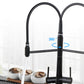 Modern Farmhouse Kitchen Faucet Pull down One Handle High Arch Water Filler Clearhalo 'Home Improvement' 'home_improvement' 'home_improvement_kitchen_faucets' 'Kitchen Faucets' 'Kitchen Remodel & Kitchen Fixtures' 'Kitchen Sinks & Faucet Components' 'kitchen_faucets' 6727181