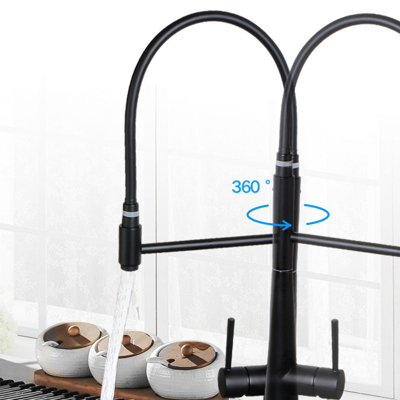 Modern Farmhouse Kitchen Faucet Pull down One Handle High Arch Water Filler Clearhalo 'Home Improvement' 'home_improvement' 'home_improvement_kitchen_faucets' 'Kitchen Faucets' 'Kitchen Remodel & Kitchen Fixtures' 'Kitchen Sinks & Faucet Components' 'kitchen_faucets' 6727181